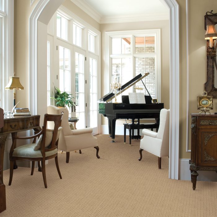 House with big windows and a grand piano. Tan carpet.